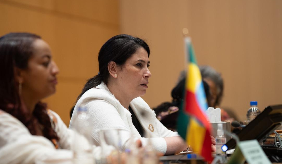AU Commission Deputy Chairperson, Amb. Selma Malika Haddadi, delivers remarks at the Joint Meeting of Health Ministers from Africa and the Caribbean. Courtesy
