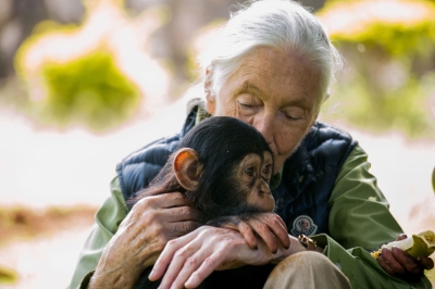 Dr Jane Goodall, the British primatologist, anthropologist, and conservationist.