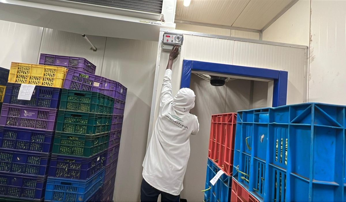 A worker sets temperature inside a cooling room at Kigali Special Economic Zone. Courtesy