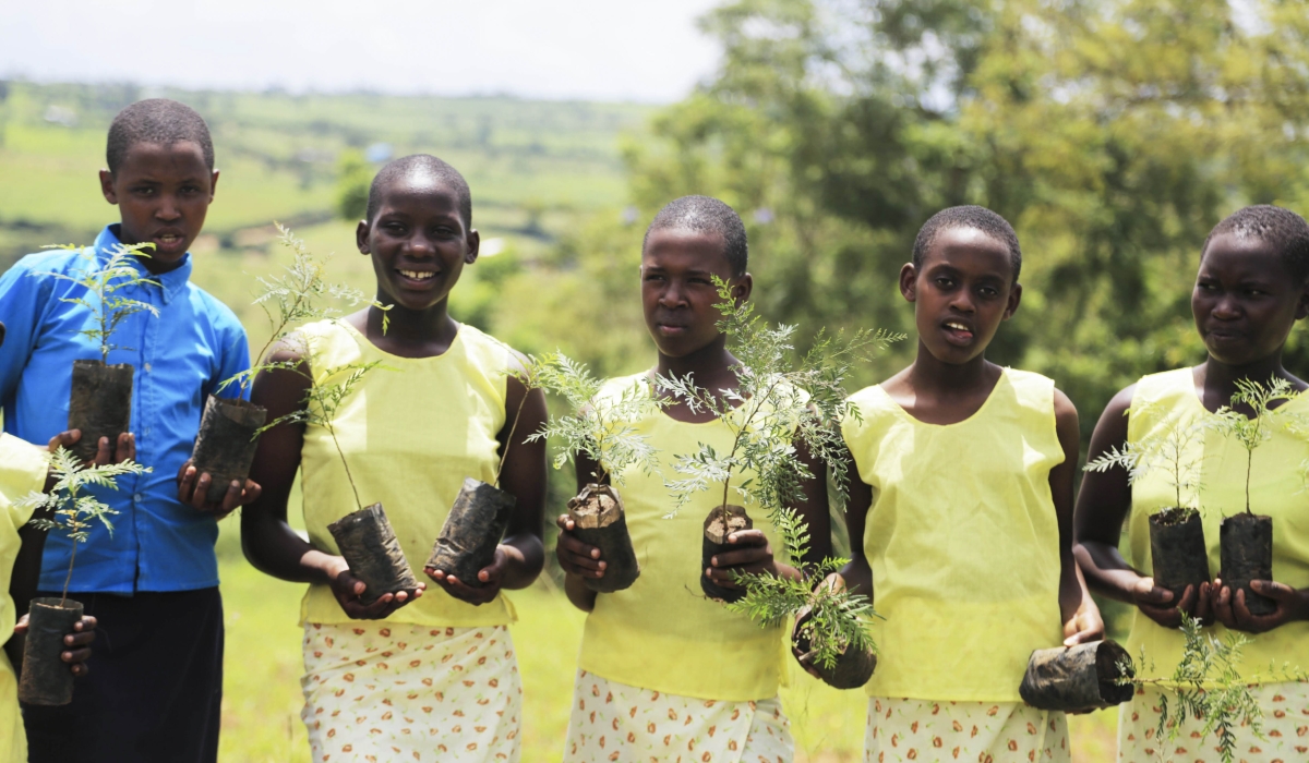 Students hold seedlings during a tree planting exercise at Groupe Scolaire Musenyi in Gatsibo District. Sam Ngendahimana