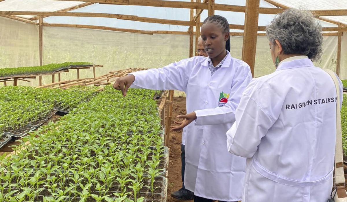 Visitors during a guided tour of a farm owned by Allen Umulisa, the Founder of RAI Green Stalks Ltd. courtesy