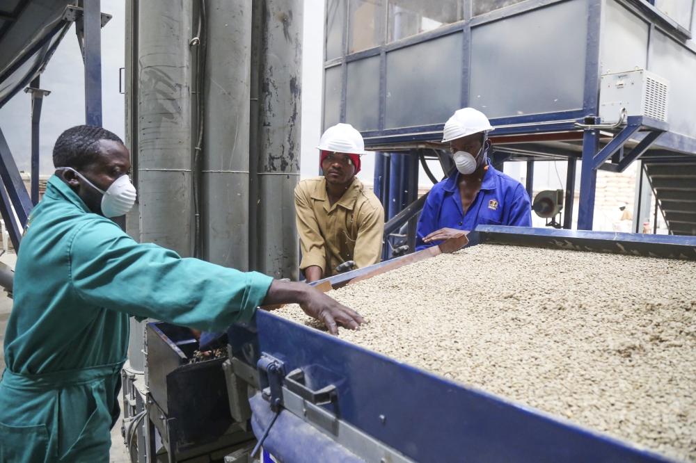 Why online auction for Rwanda’s best coffee matters