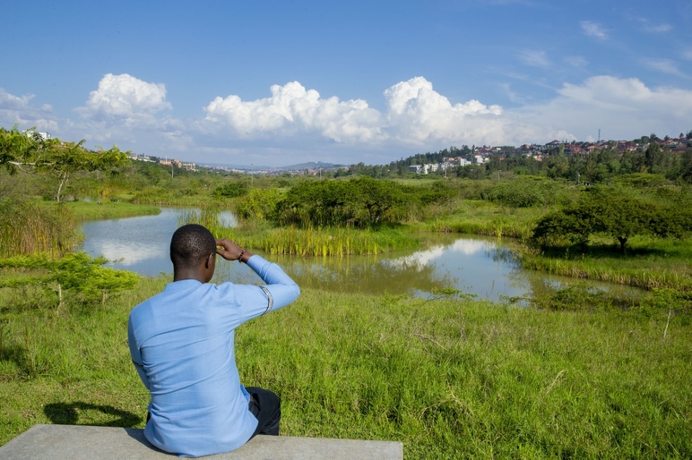 A visitor enjoys the calm beauty of Nyandungu Wetland, part of Rwanda’s green vision.