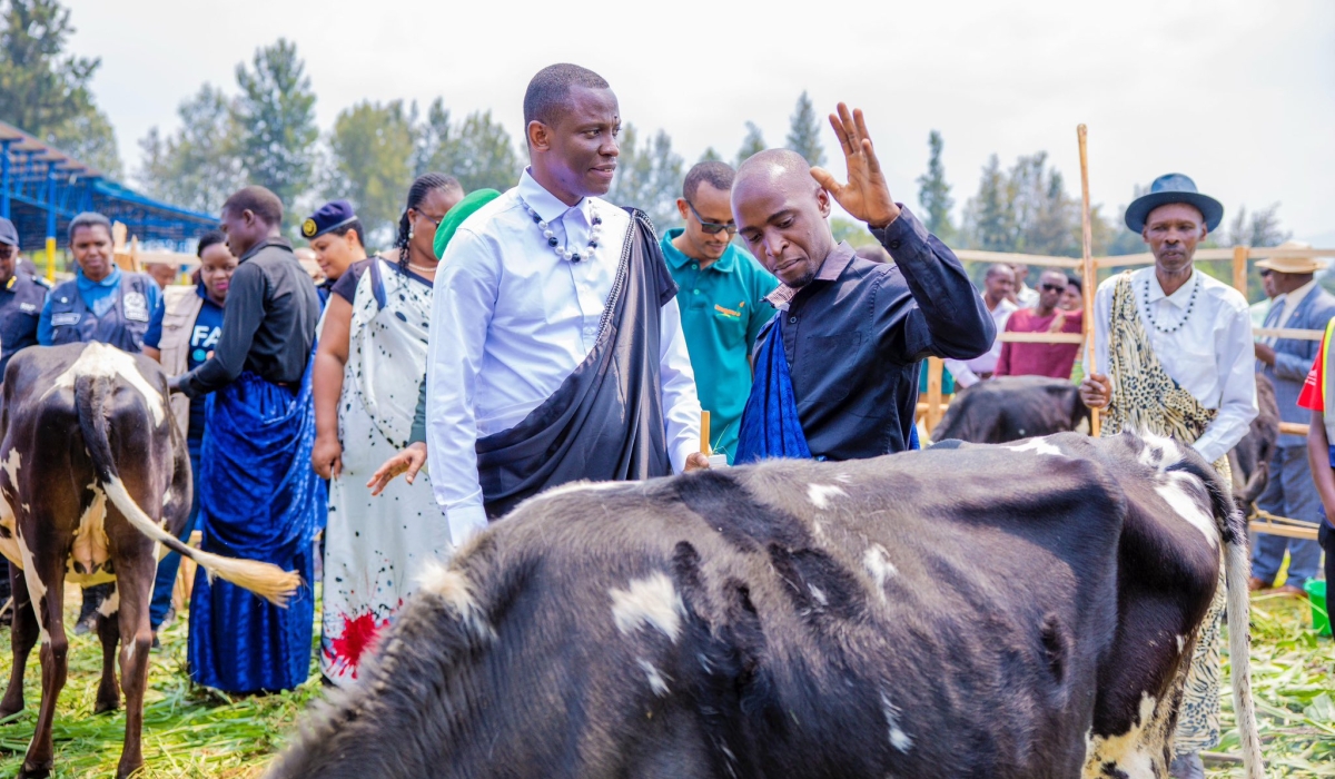 Dominique Habimana, Minister of Local Government gives a cow to a resident through Girinka Programme in Musanze on Friday, August 1. Courtesy