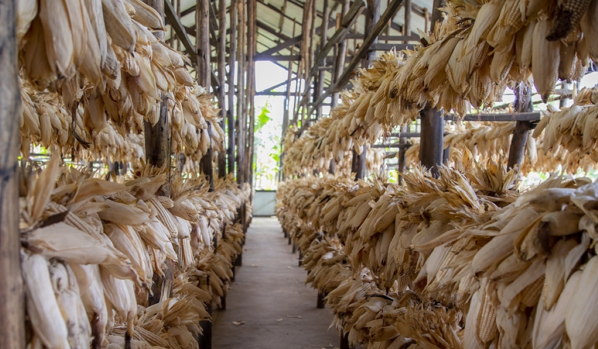 The government previously established minimum prices for staple crops like maize, beans, and Irish potatoes.