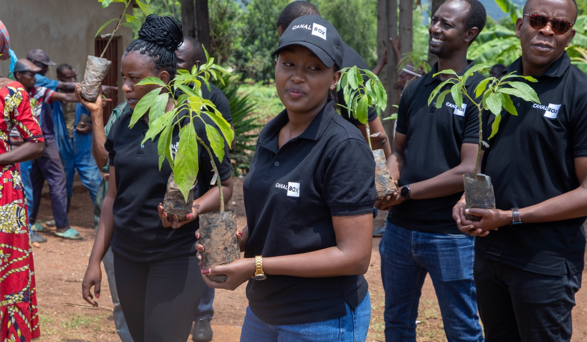 Isaro Econext and Group Vivendi Africa (GVA) Rwanda  joined students and community members of all ages to plant avocado trees on October 24. Craish Bahizi
