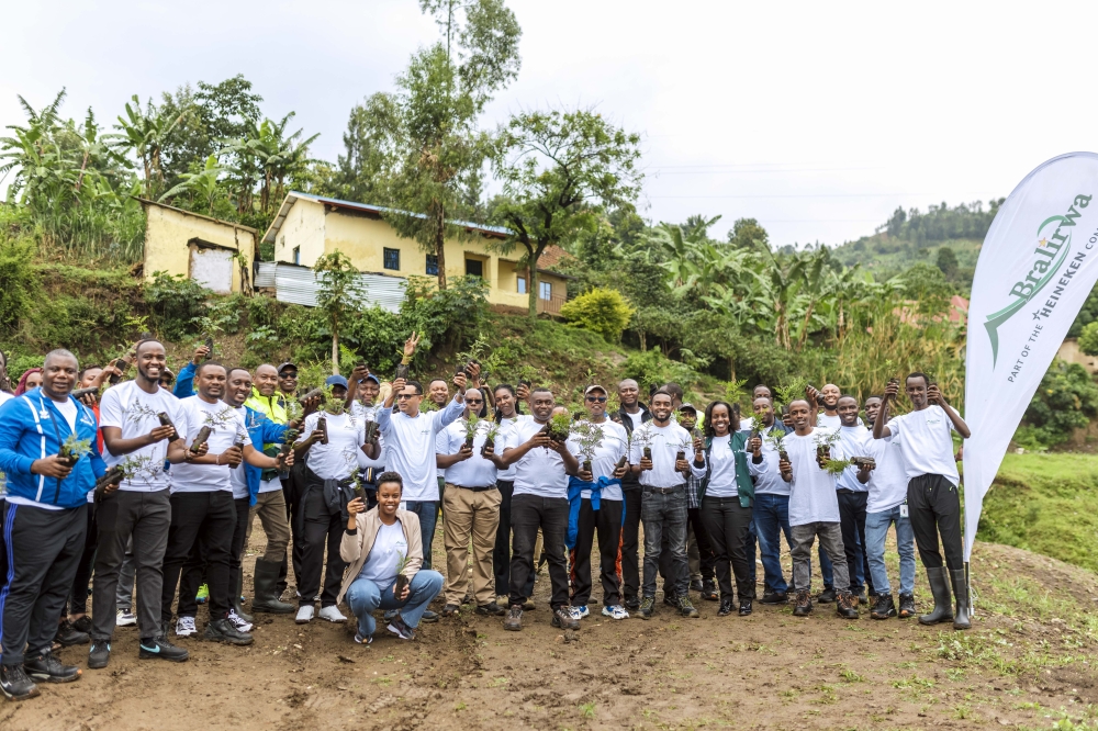 BRALIRWA Plc staff carrying tree seedlings to plant during Umuganda Community Works