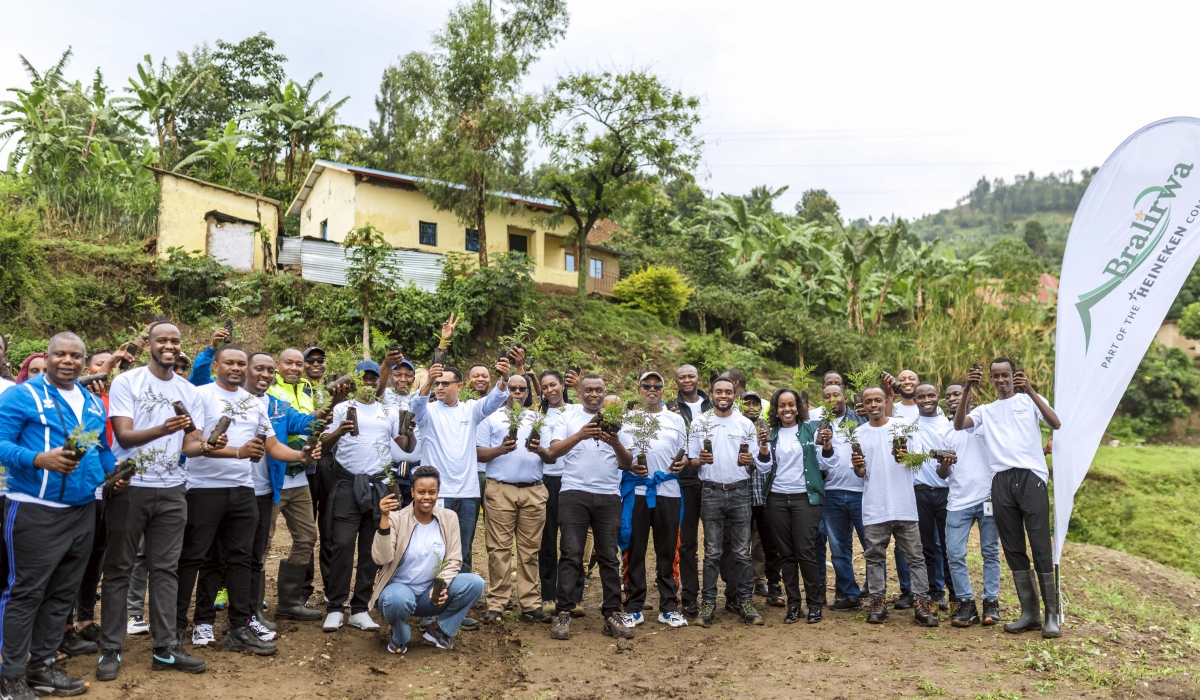 BRALIRWA Plc staff carrying tree seedlings to plant during Umuganda Community Works