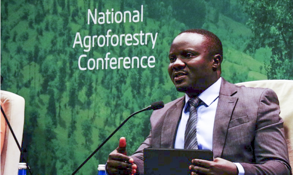 Concorde Nsengumuremyi, Director General of the Rwanda Forestry Authority, speaks during the National Agroforestry conference in Kigali in 2024. Courtesy