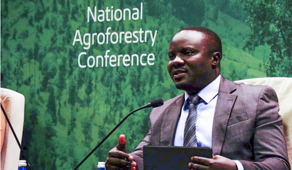 Concorde Nsengumuremyi, Director General of the Rwanda Forestry Authority, speaks during the National Agroforestry conference in Kigali in 2024. Courtesy