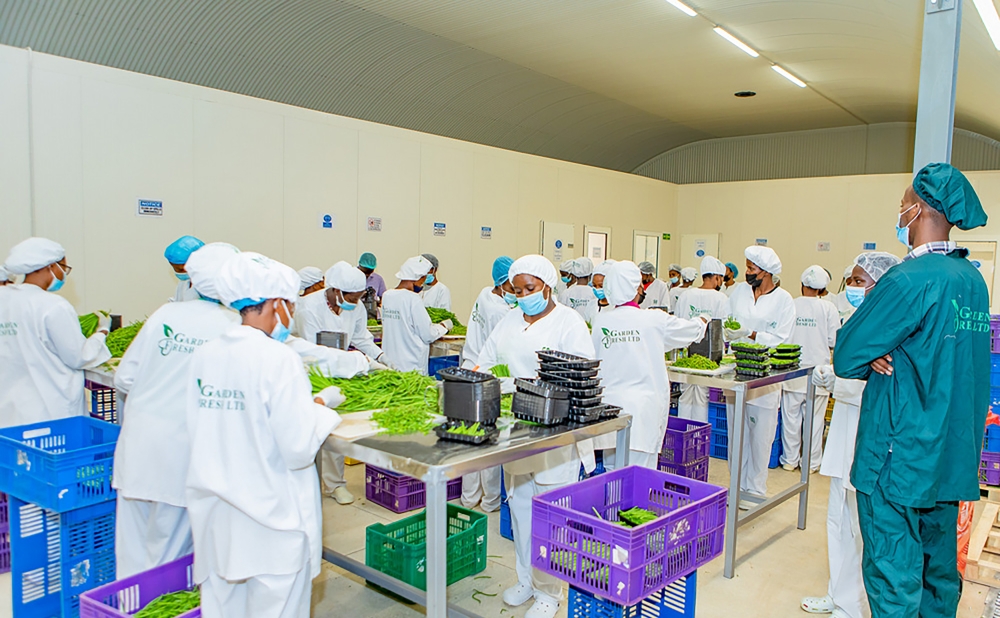 Garden Fresh Ltd workers at the packhouse in Masoro Special Economic Zone packing the harvest ready for export. Photo by IGIHE