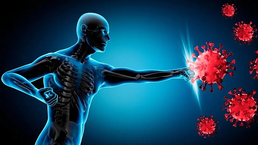 Nature has endowed every human and living organism with a defense mechanism called the immune system, which helps prevent and control infections. Internet Photo