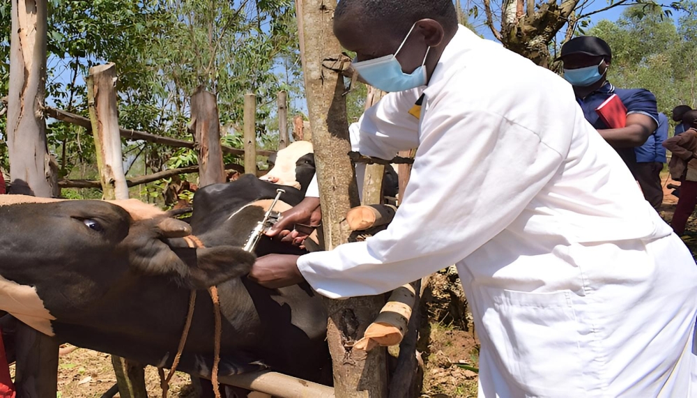Rwanda expands disease tracking to include animals and wildlife