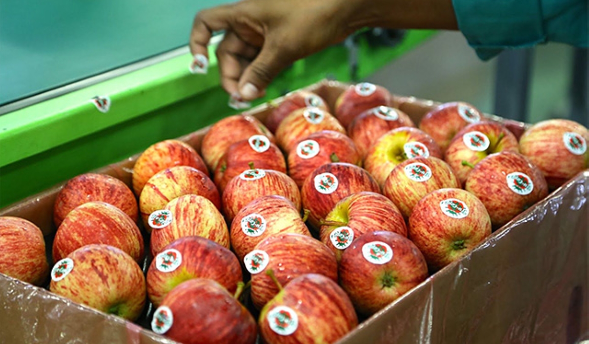 Apple fruits imported from South Africa. Rwanda has lifted a nearly eight-year ban on the importation of agricultural and animal products from South Africa. Courtesy