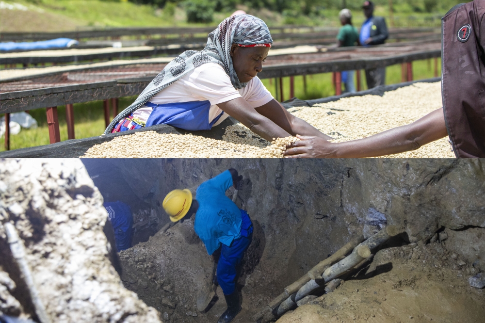 (Top row) Farmers sort coffee beans in Ngoma District in March 2023. (Bottom row) A miner works at the Bashyamba Mining Site in Nyarugenge District on March 6. Rwanda’s exports continued to rise in the third quarter of 2025, even as the country recorded a slight increase in its trade deficit, according to the National Bank of Rwanda. File