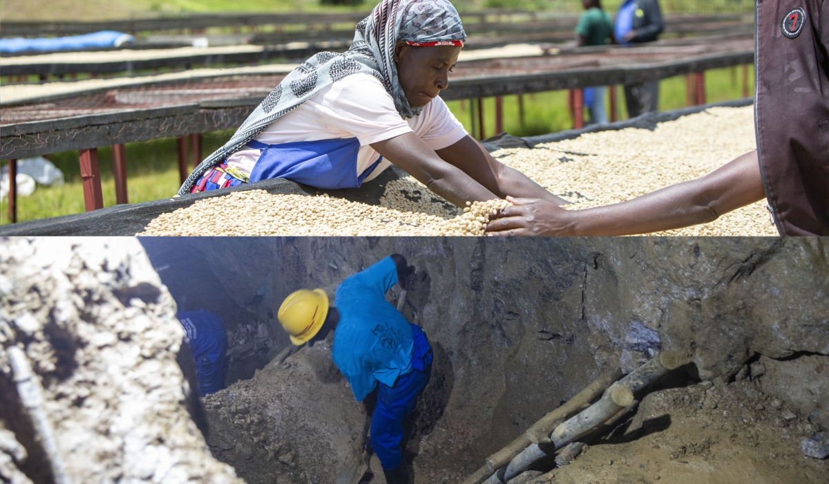 (Top row) Farmers sort coffee beans in Ngoma District in March 2023. (Bottom row) A miner works at the Bashyamba Mining Site in Nyarugenge District on March 6. Rwanda’s exports continued to rise in the third quarter of 2025, even as the country recorded a slight increase in its trade deficit, according to the National Bank of Rwanda. File