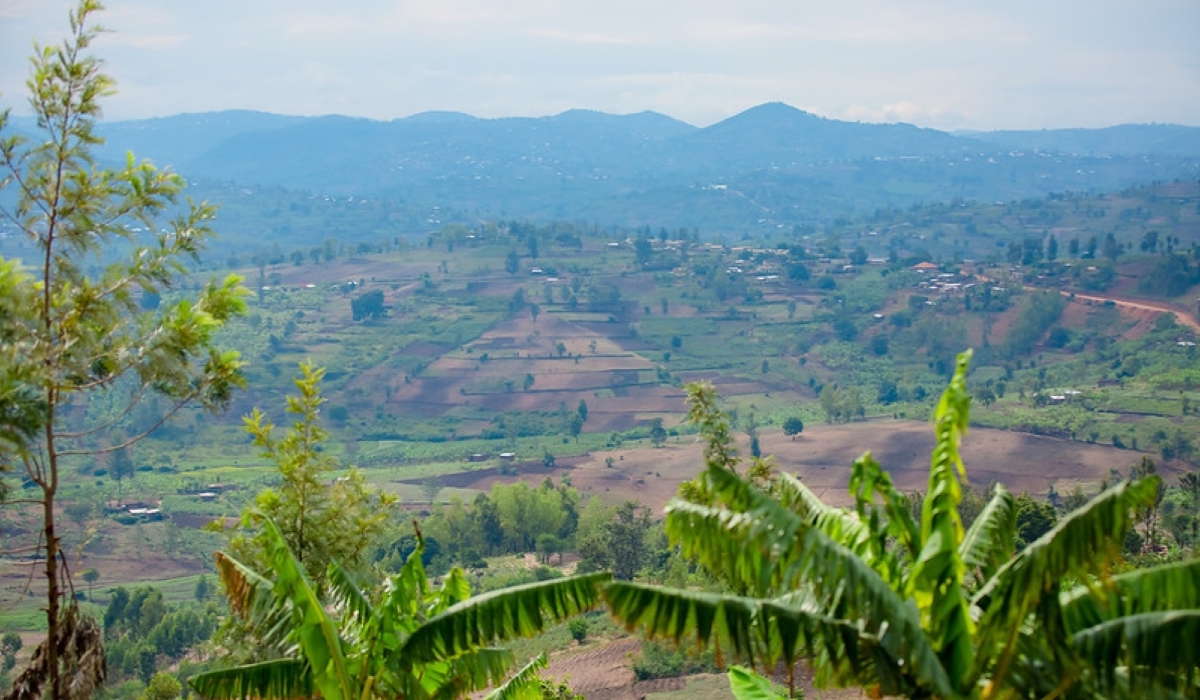 Land and ecosystem damage is making it harder for nature to provide essential resources.Courtesy