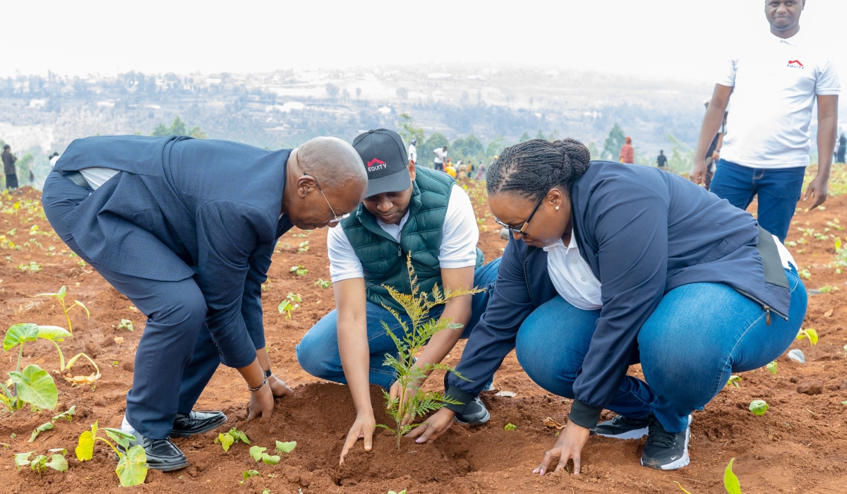 Equity Bank Rwanda  officials, together with community leaders, government officials, students, farmers and local residents, planted 9,000 trees in a large-scale environmental and livelihood initiative in Gisagara District on Saturday, December 12. Courtesy Courtesy
