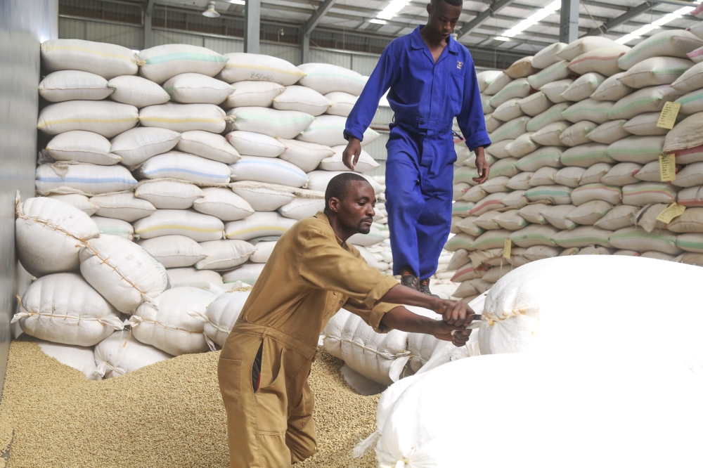 Rwanda’s coffee export revenues hit record $150m in 2025