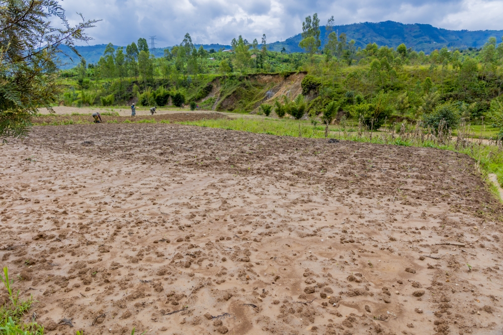 Conservation agriculture: Rwanda’s practical response to climate change and soil degradation