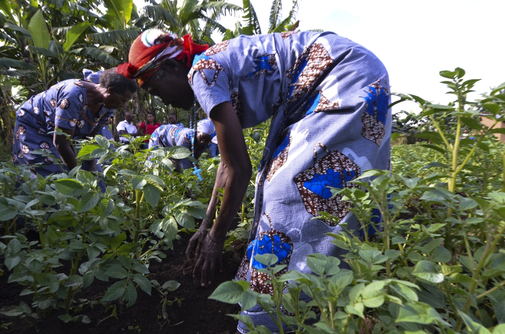 What Africa can learn from Rwanda’s women farmers