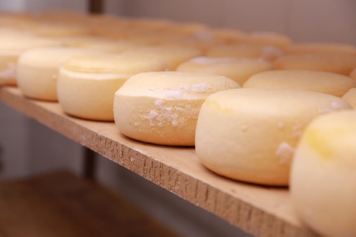 Some of the cheese produced at Fromagerie Muhumyo in Gishwati (2)