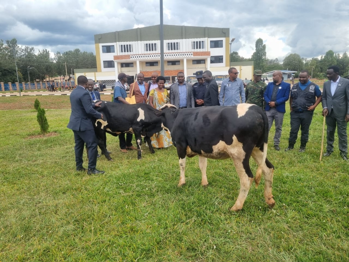 Members of Private Sector Federation donated cows to genocide Survivors during a commemoration at Nyakarambi Genocide Memorial in Kirehe District on Friday, June 5.
