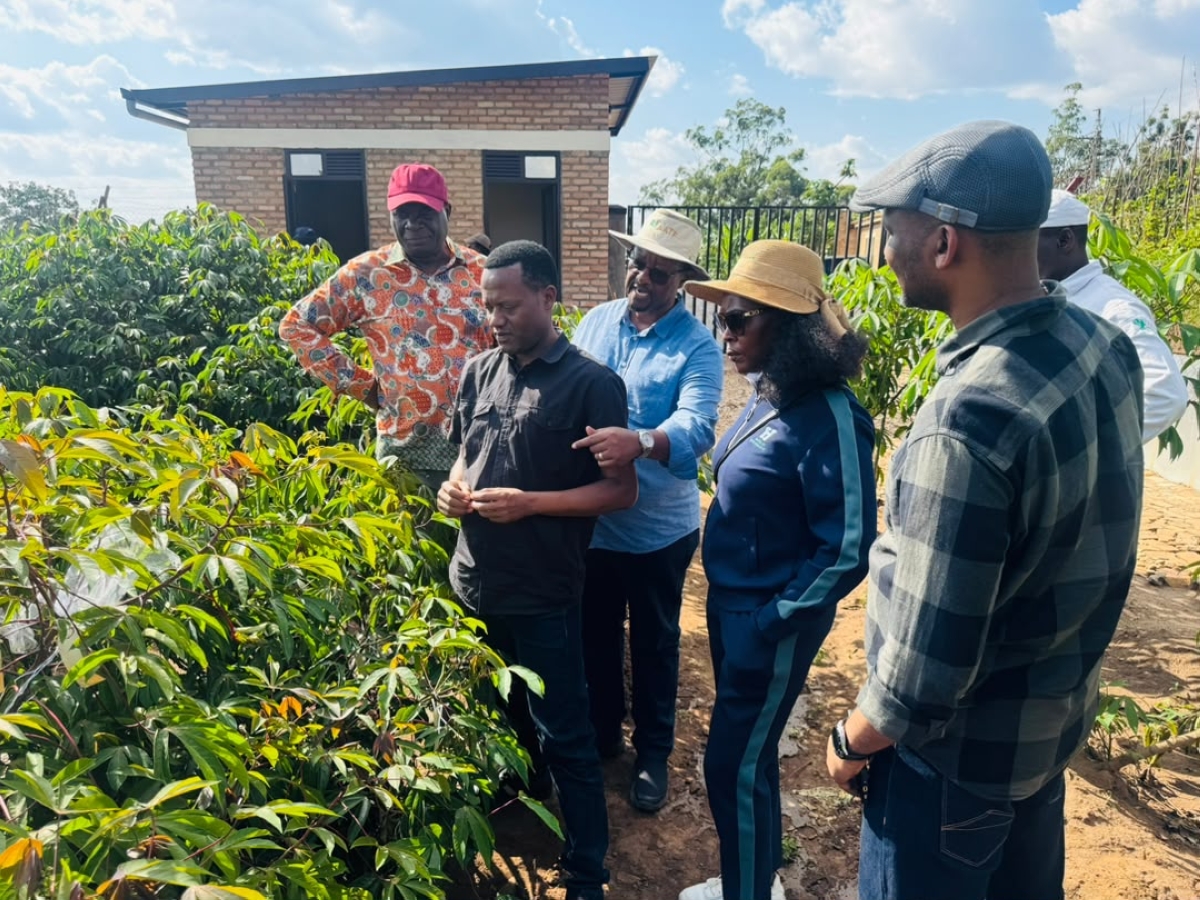 Athanase Nduwumuremyi, Coordinator of OFAB Rwanda Chapter (R) explaining about the performance of biotech cassava to AATF officials in Rubona, Huye District, on June 18, 2026