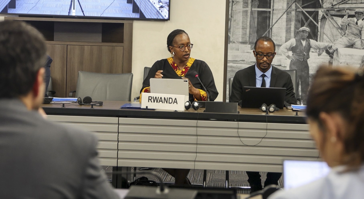 Kigali questions UN inquiry strategies on jap DR Congo