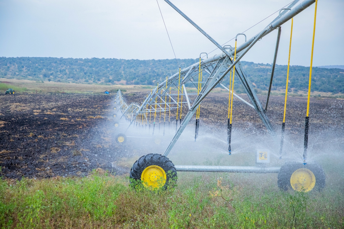 A section of Gabiro solar powered irrigation scheme at Gabiro Agri Hub on Saturday, July 11. Photos by Craish BAHIZI