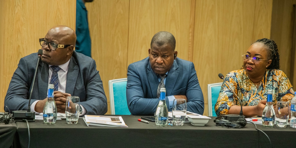 Participants during the meeting