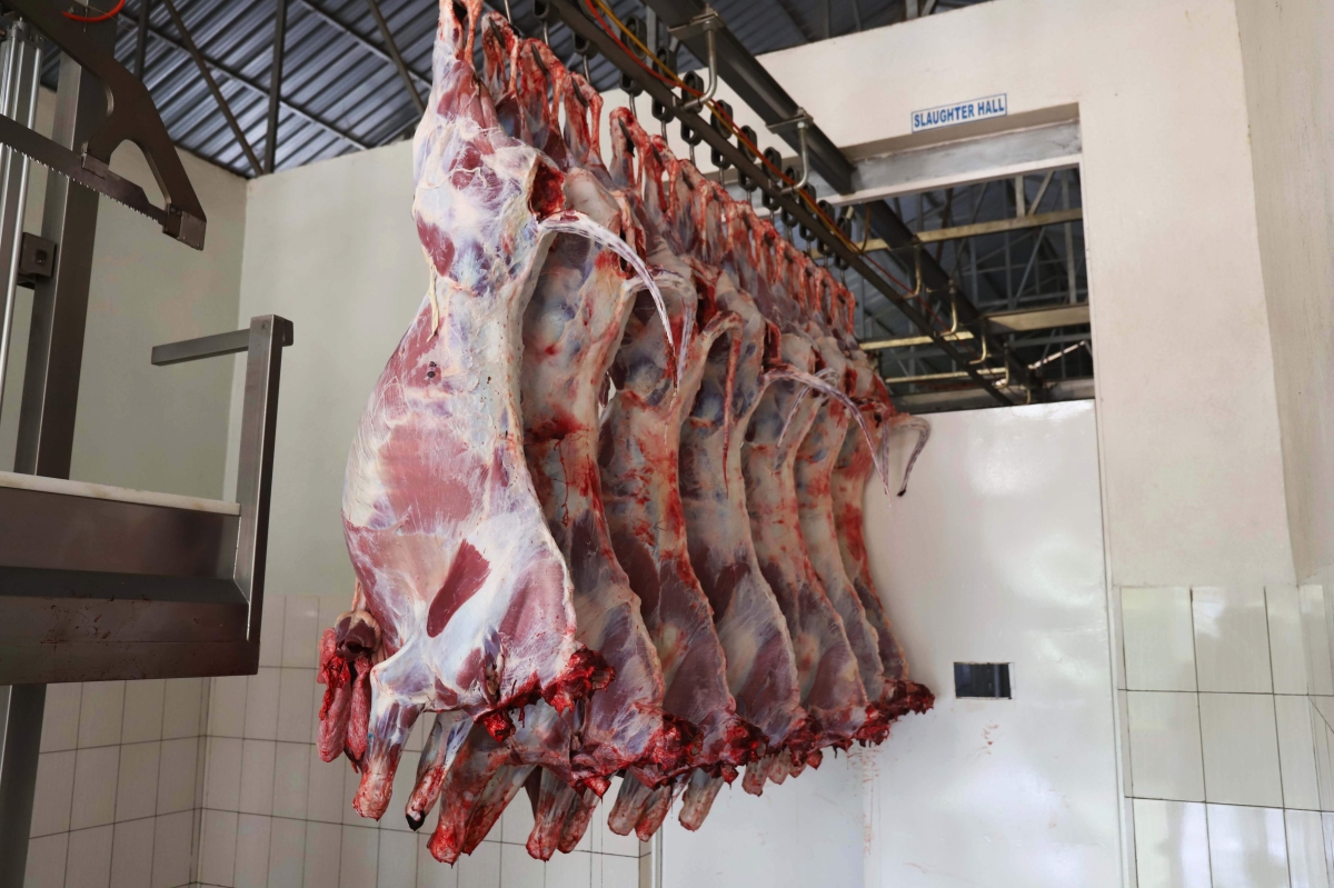 Meat prices disrupted amid Rift Valley Fever outbreak