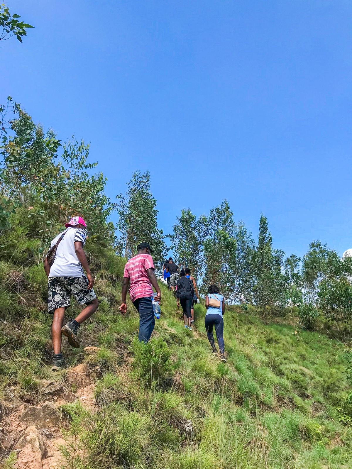 The rise in hiking reflects a broader shift towards healthier lifestyles.