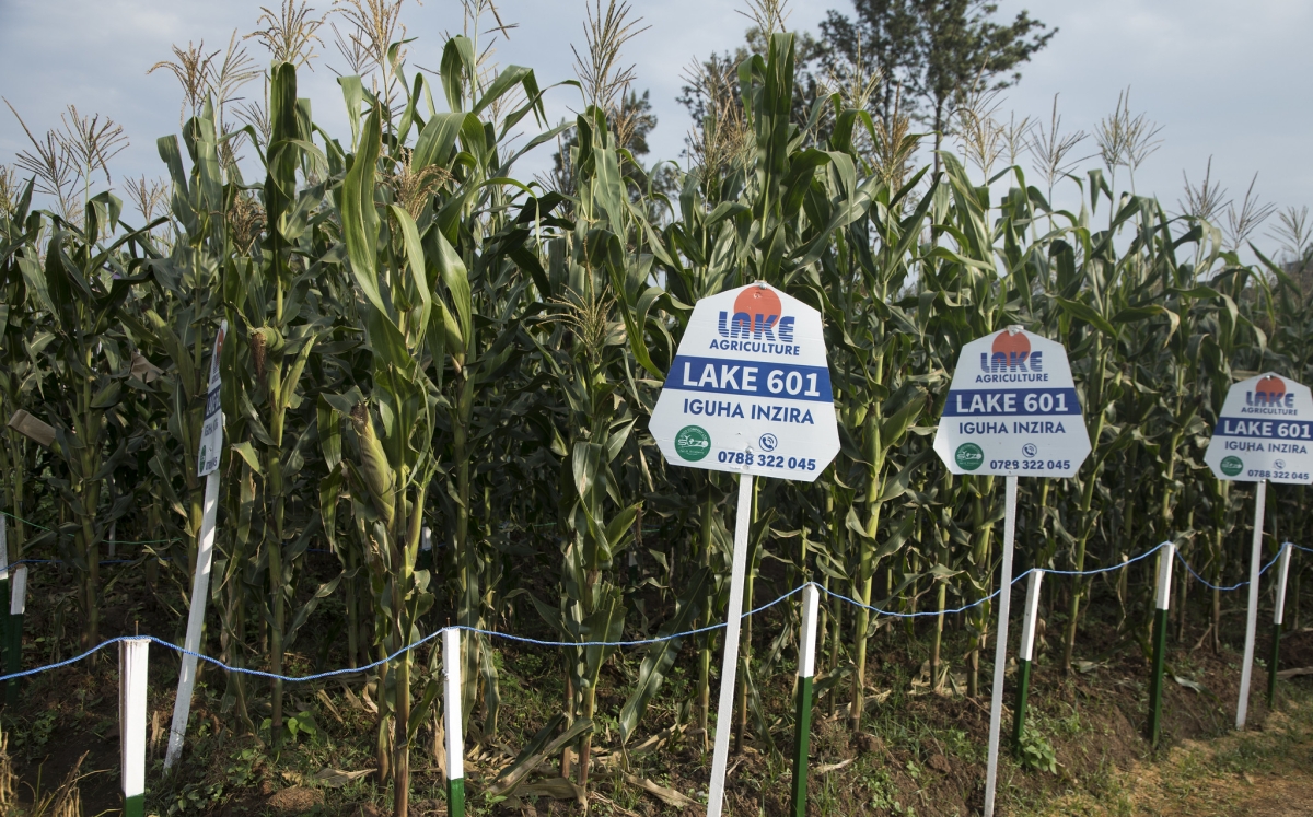 Farmers back agriculture bill, seek swift implementation