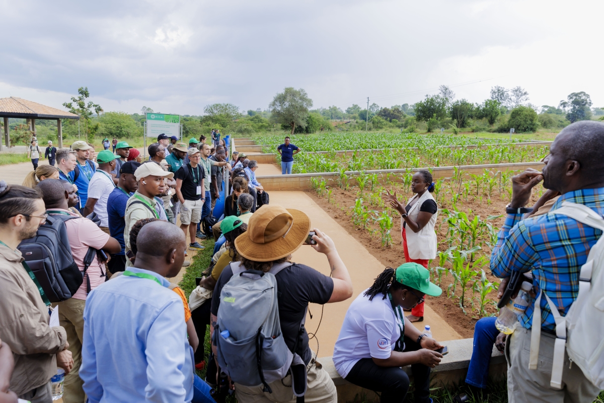 Inside RICA's role in advancing Rwanda's farming through conservation agriculture