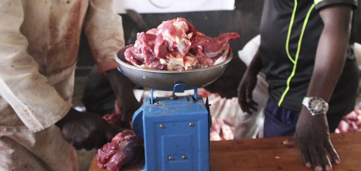 Up to 10 years in jail for exhuming animal carcasses: What's in the new livestock bill