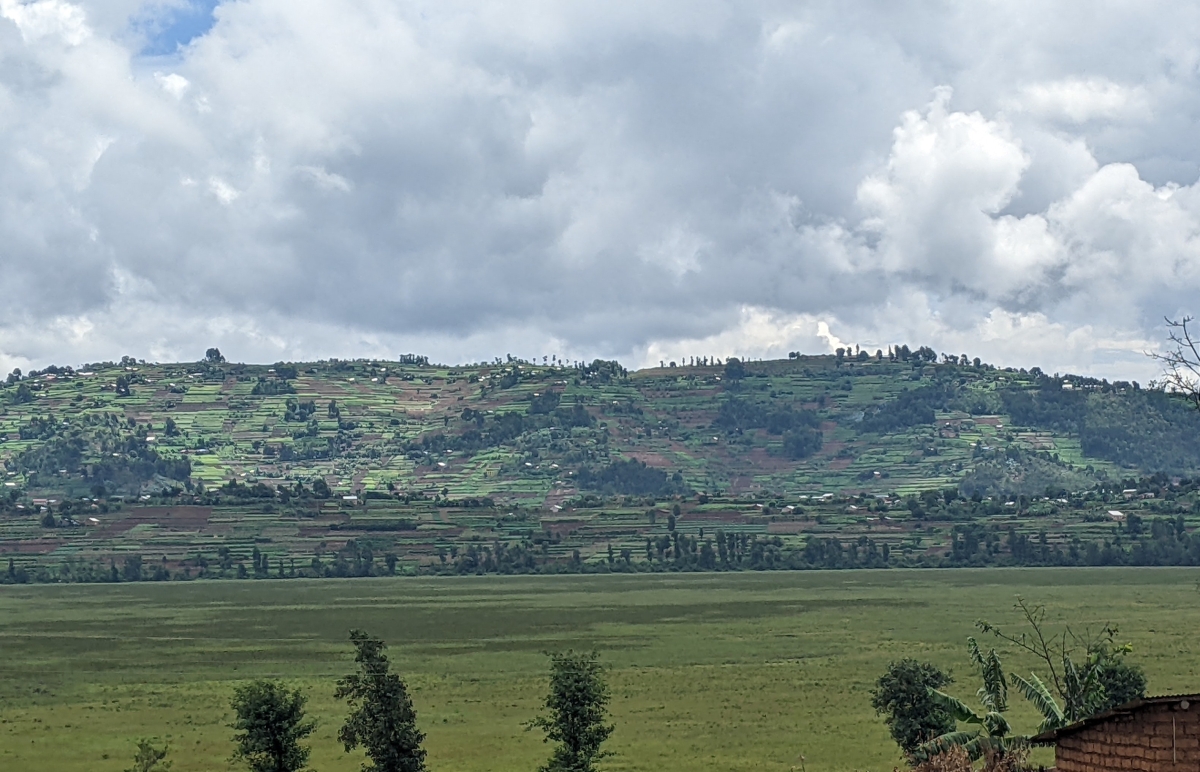 REMA warns of wildfires in Rugezi Marshland as dry spell persists