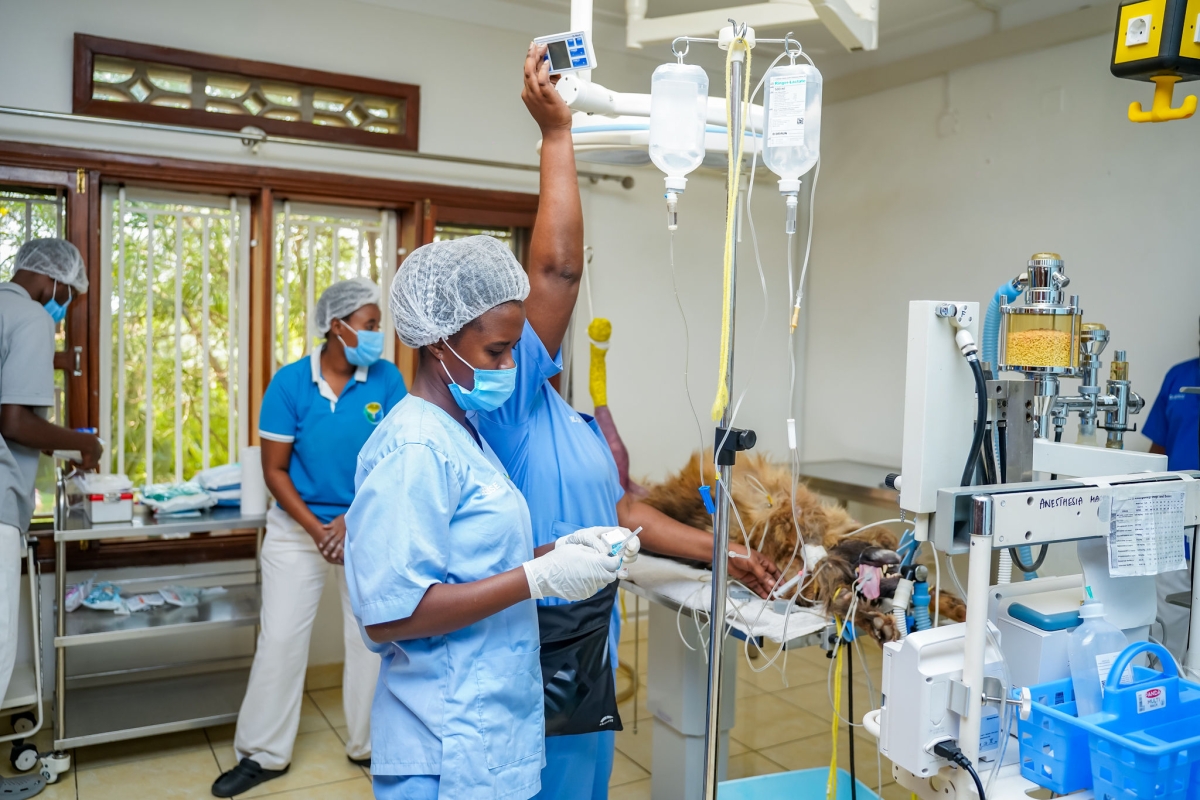 The hospital aims to ensuring pets receive proper medical attention before their conditions become serious.