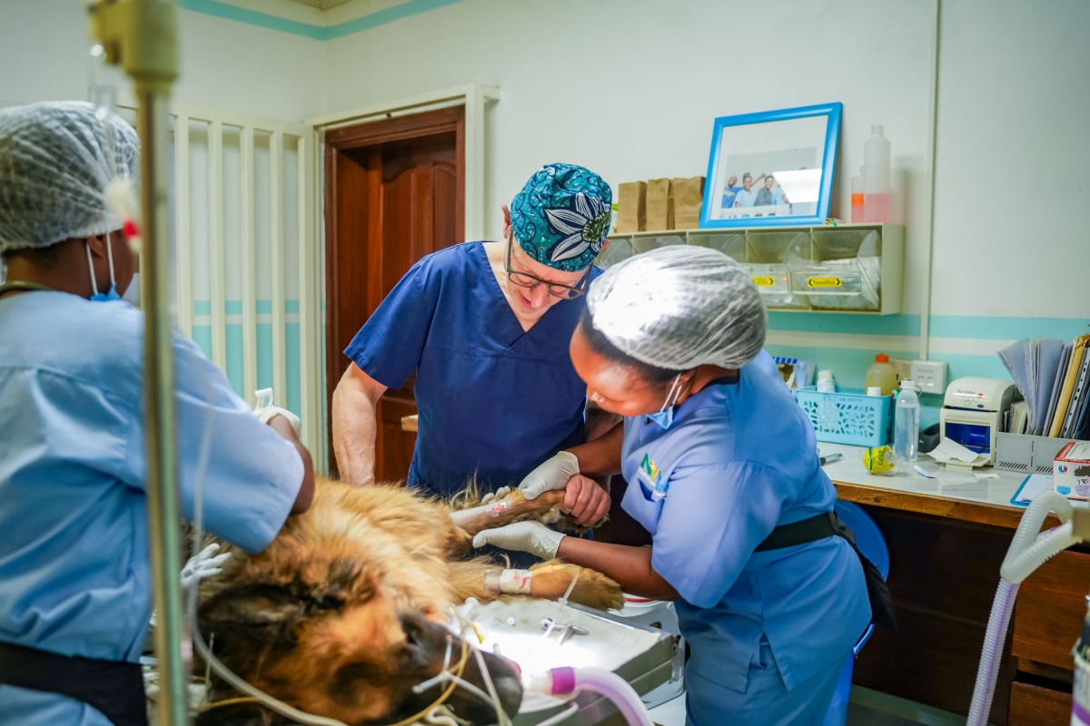 The hospital was established partly to address gaps in veterinary diagnostics, treatment and expertise.