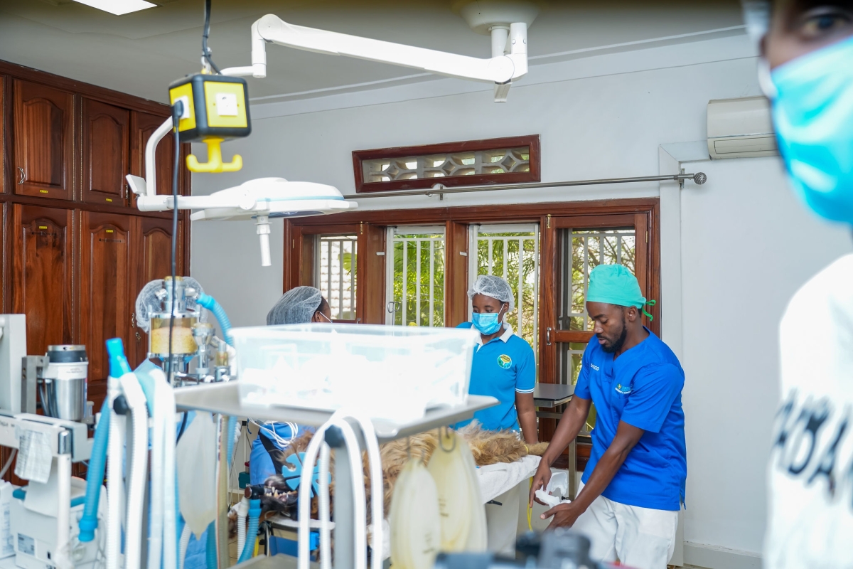 The hospital has digital X-ray and ultrasound machines, a laboratory and a team of four veterinary doctors and six veterinary nurses trained in veterinary technology.