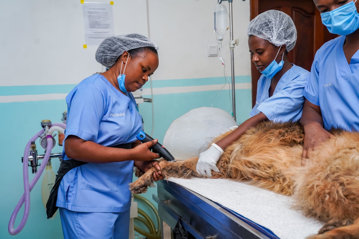 The hospital performs orthopaedic surgeries to repair broken bones, as well as soft-tissue surgery and other specialised procedures.