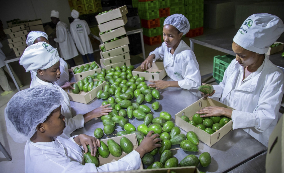 newtimes.co.rw - Alice Umutesi - Beyond GDP: What Rwanda's economic growth means for citizens