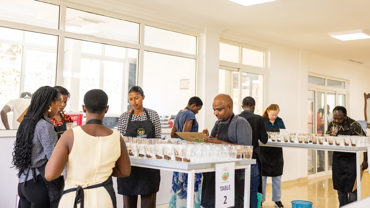 All submitted coffee samples get pre-selected by the National Jury.