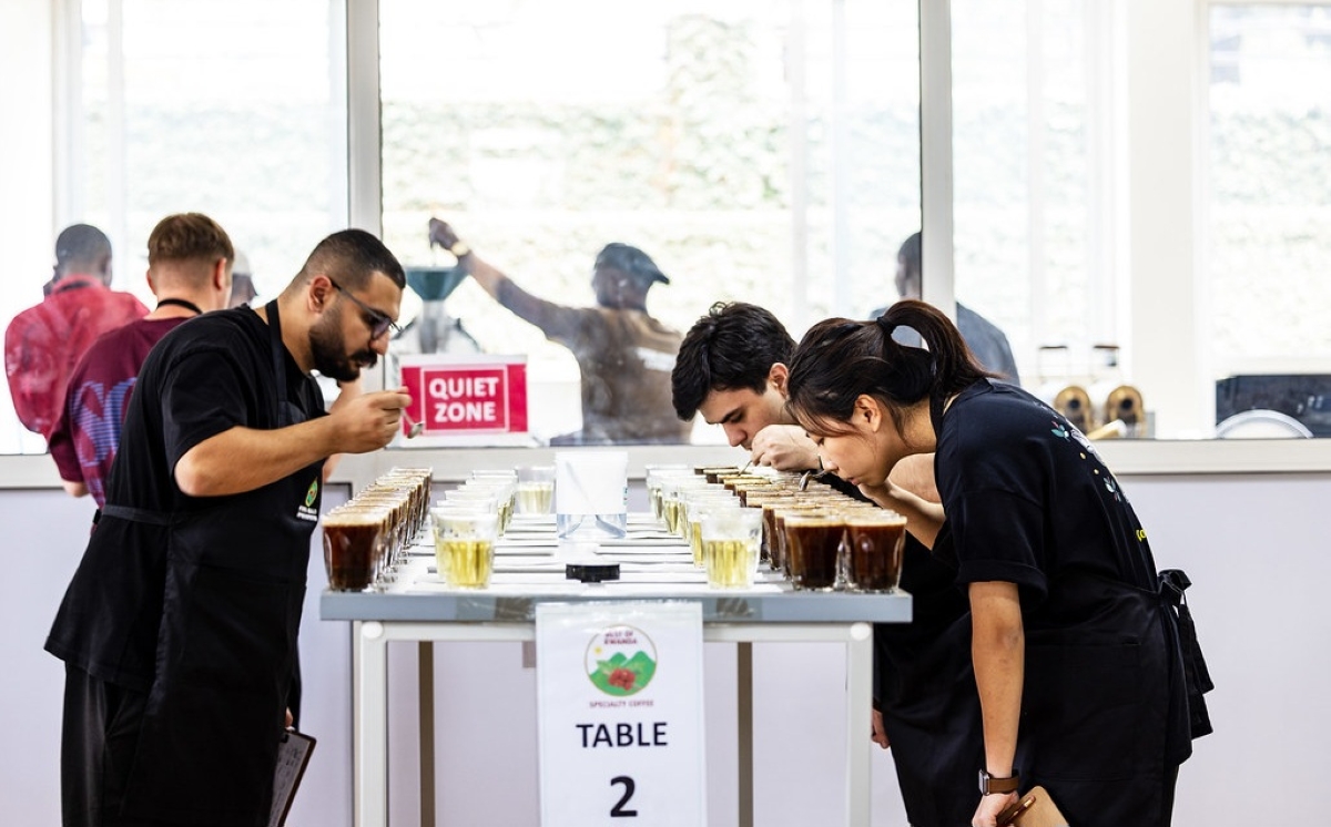 Winning coffees went through merticulous cupping session to identify the unique lot.