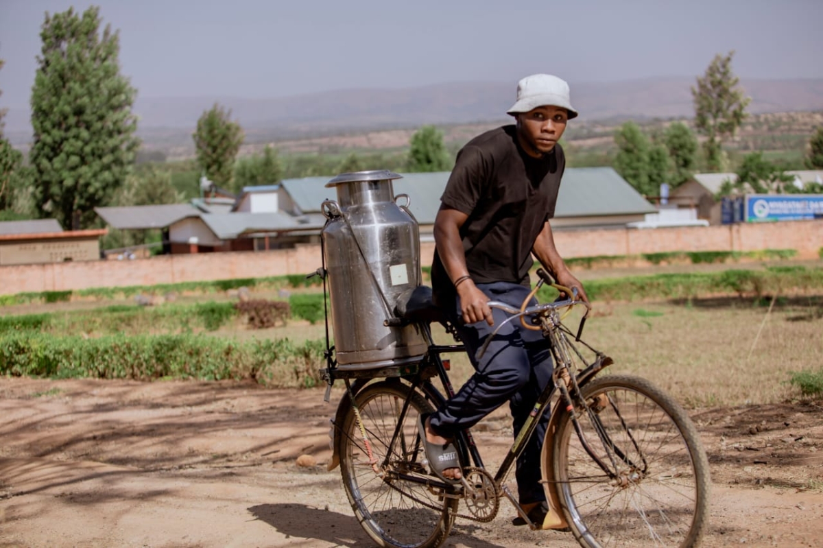 A farmer transports milk to Nyagatare Milk Collection Center. Farmers say there has been a significant reduction in milk production due to the current drought.