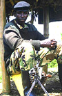 A soldier loyal to Gen. Nkunda keeps guard at a military check point. (Photo by M. Mazimpaka)