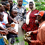 A man distributes tree seedlings to children for planting in Kigali City recently. (Photo/ R. Nzeyimana)