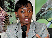 Rugamba and her counterparts in region are working jointly to save the lives of gorrillas. (File photo)