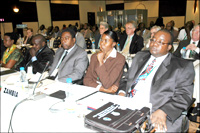 Nepad workshop ( File photo)