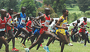 CHASING FOR CASH: Over 2500 athletes will be taking part in todayu2019s marathon.